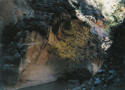 http://www.pacificco.net/images/narrows01.jpg