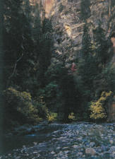 http://www.pacificco.net/images/narrows02.jpg